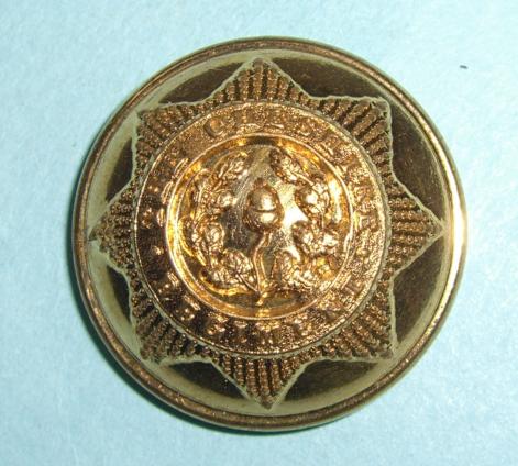 Cheshire Regiment Officer's Large Gilt Button ( 22nd Foot )