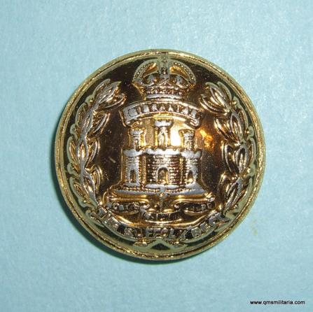 Suffolk Regiment Anodised Aluminium AA Large Pattern Button, Kings Crown