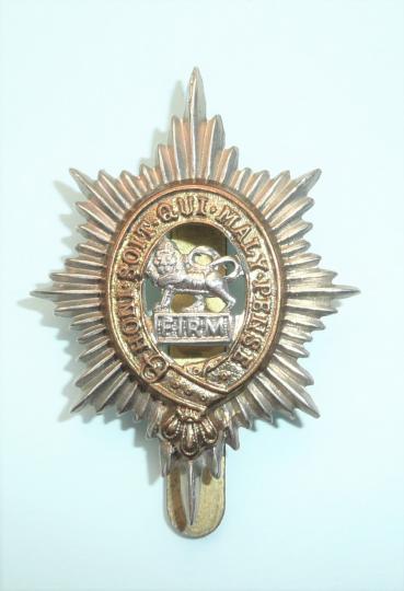 The Worcestershire Regiment (29th & 36th Foot) Bi-Metal Cap Badge