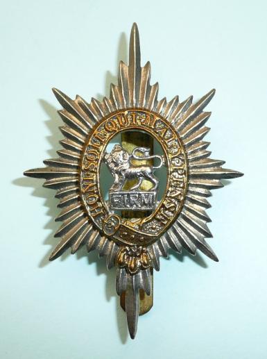 The Worcestershire Regiment (29th & 36th Foot) Bi-Metal Cap Badge