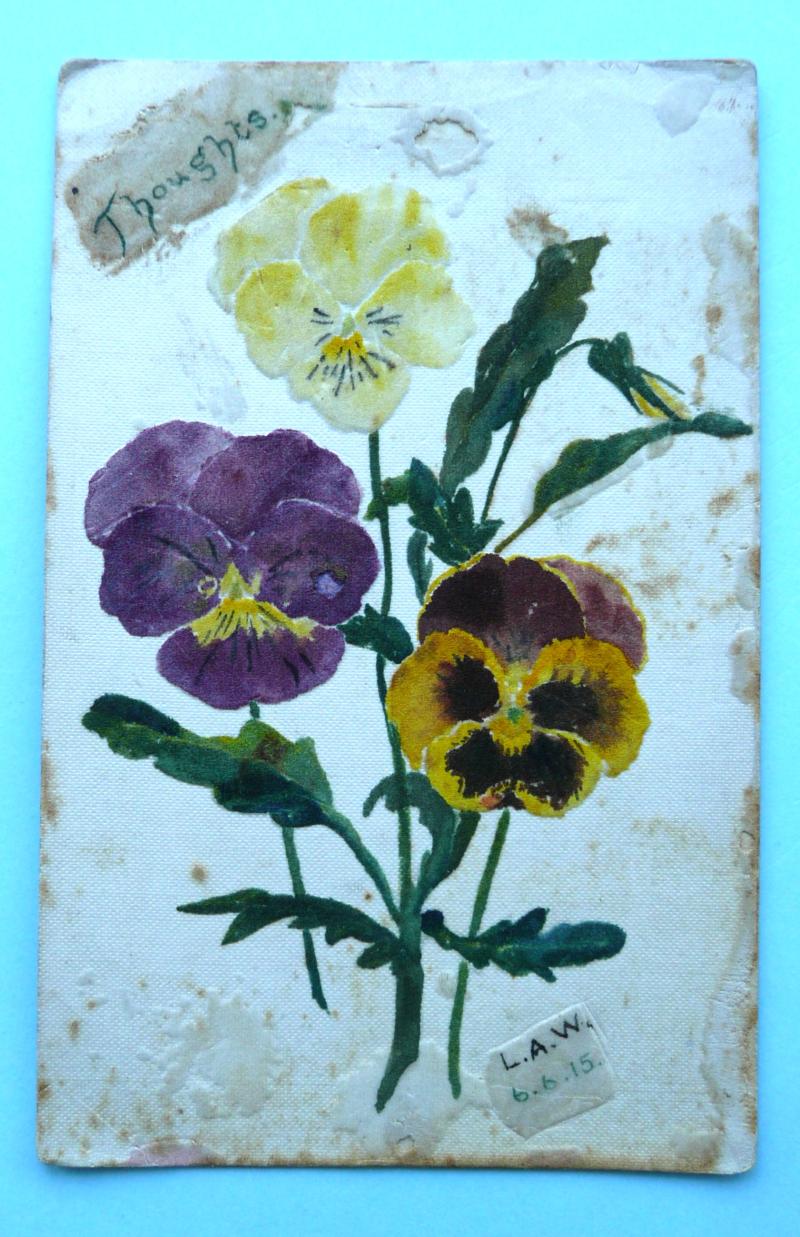 WW1 Pressed Flowers Hand Crafted Postcard - Thoughts