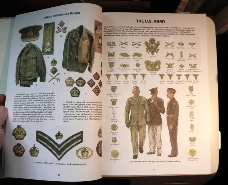 The Allied Forces in Italy 1943 - 1945 by Guido Rosignoli - Essential Reference!