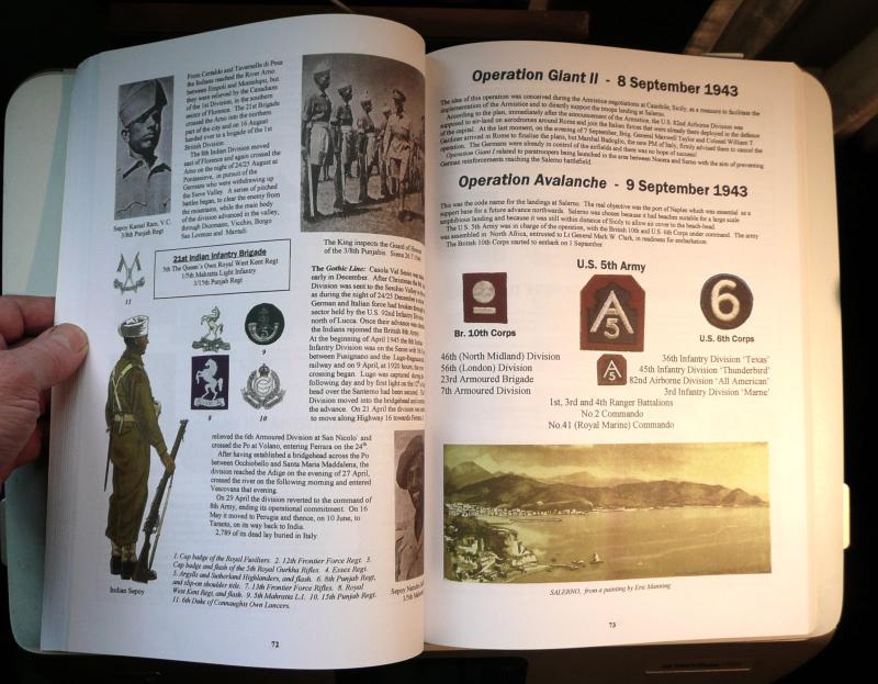 The Allied Forces in Italy 1943 - 1945 by Guido Rosignoli - Essential Reference!