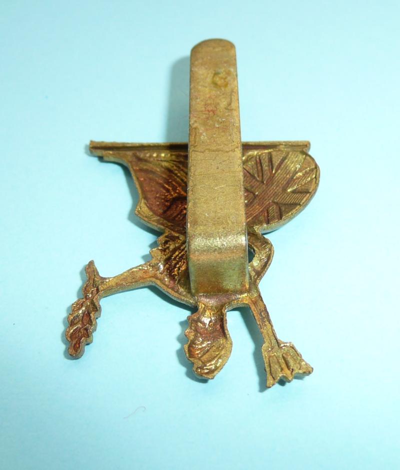Royal Norfolk Regiment Gilding Metal Brass Other Ranks Beret Badge