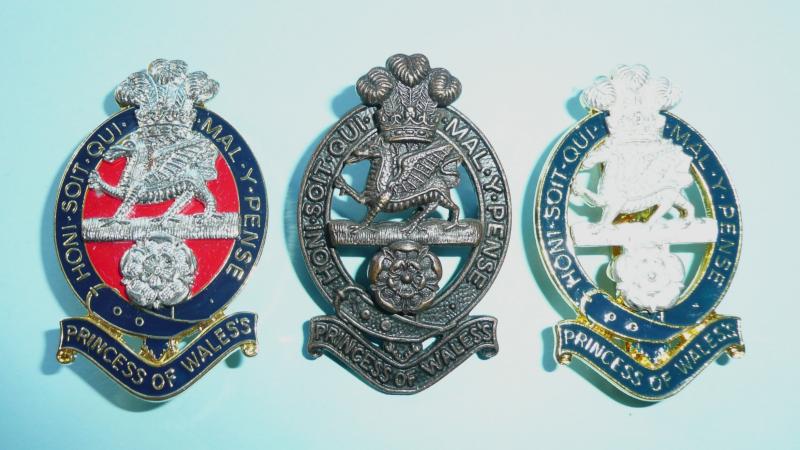 Princess of Wales's Royal Regiment PWRR 3 Patterns of Cap Badge